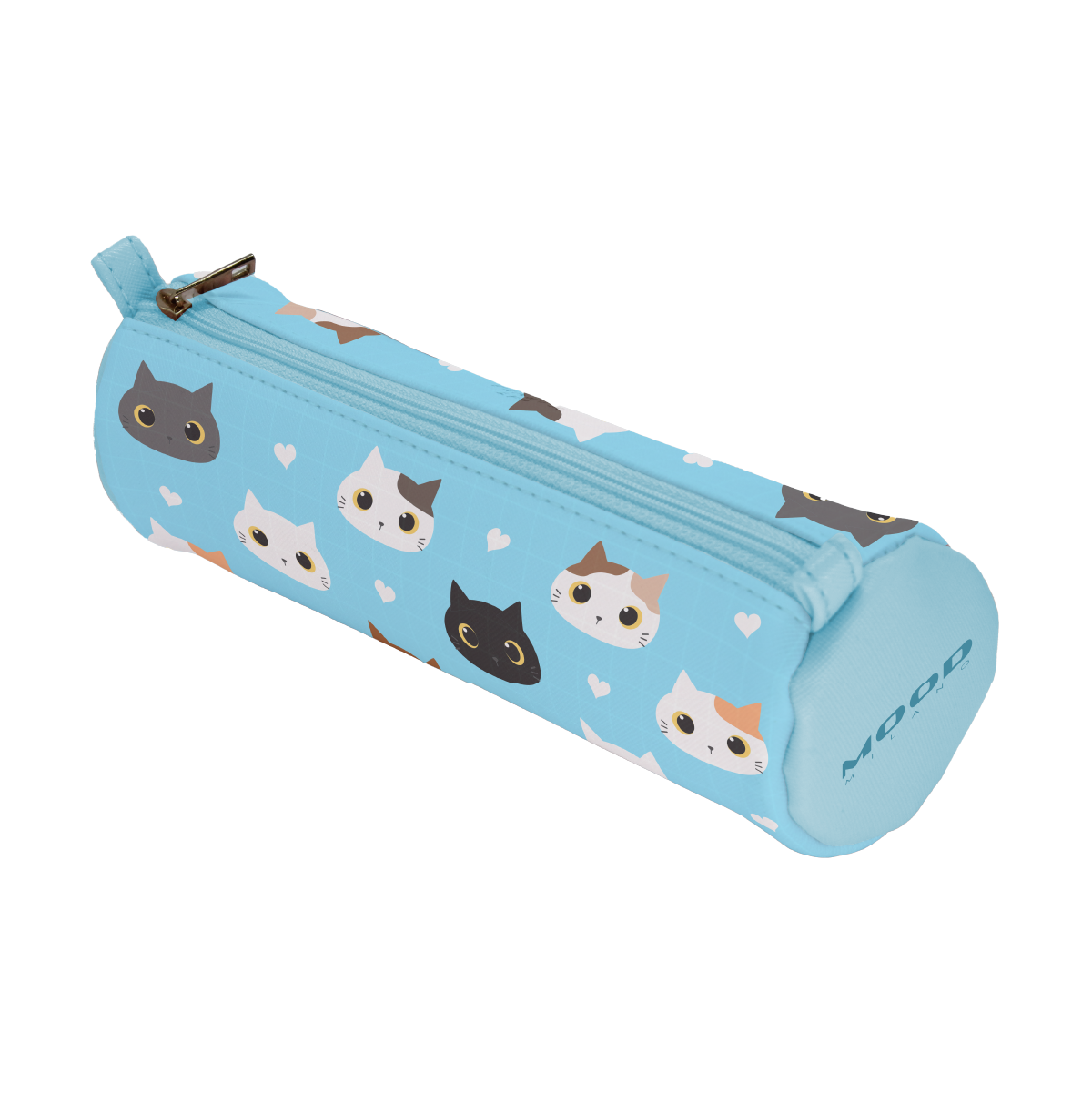Gattini case