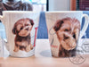 Boomer mug - New collection