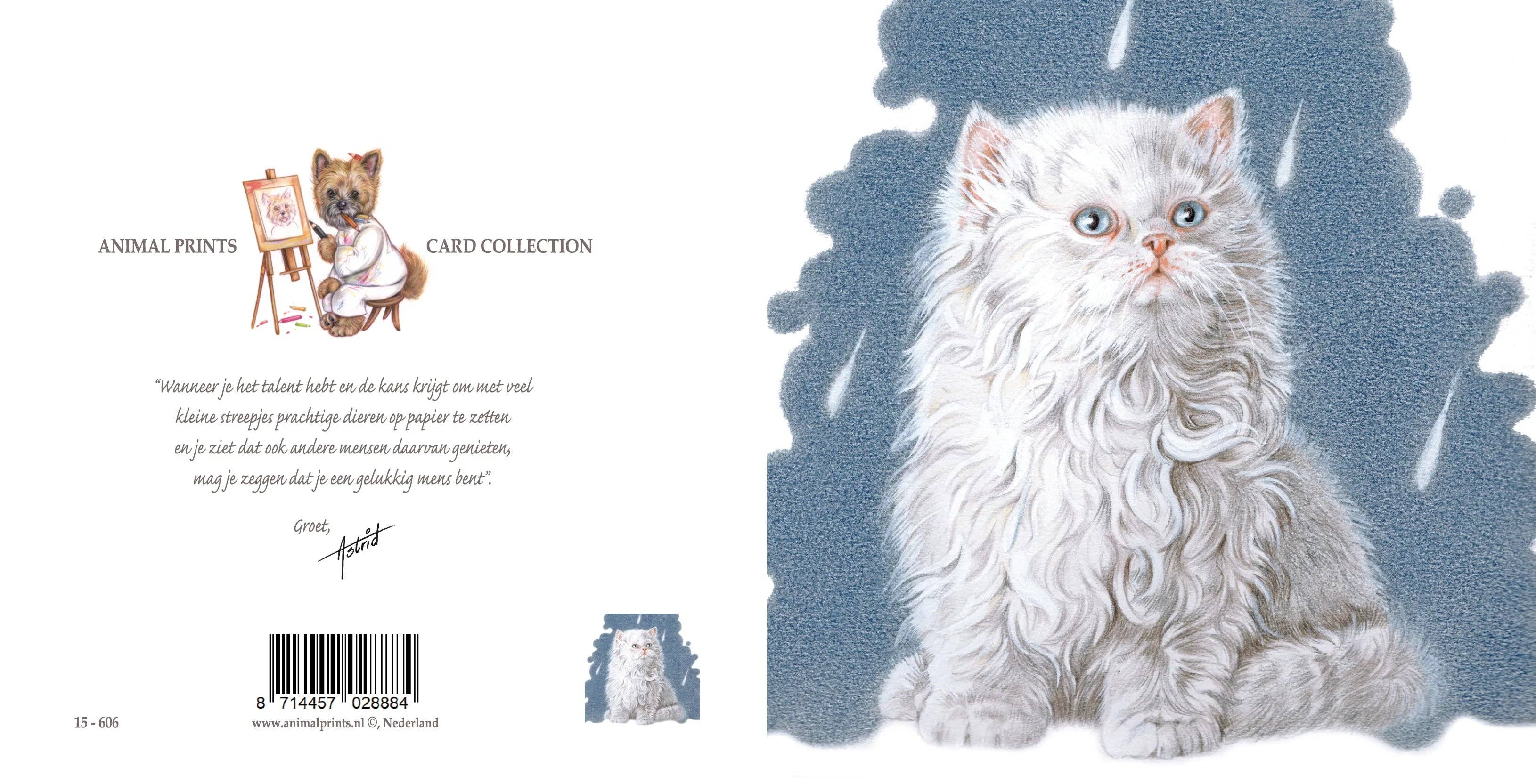 Square card - It's Raining Cat's - Persian Cat