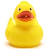 Rubber Duck Norbert - rubber duck