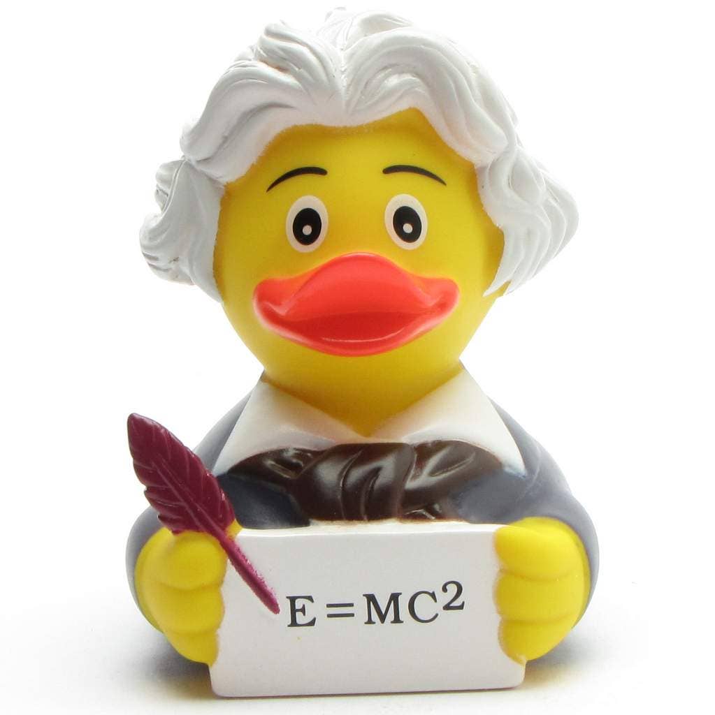 Einstein rubber duck - rubber duck