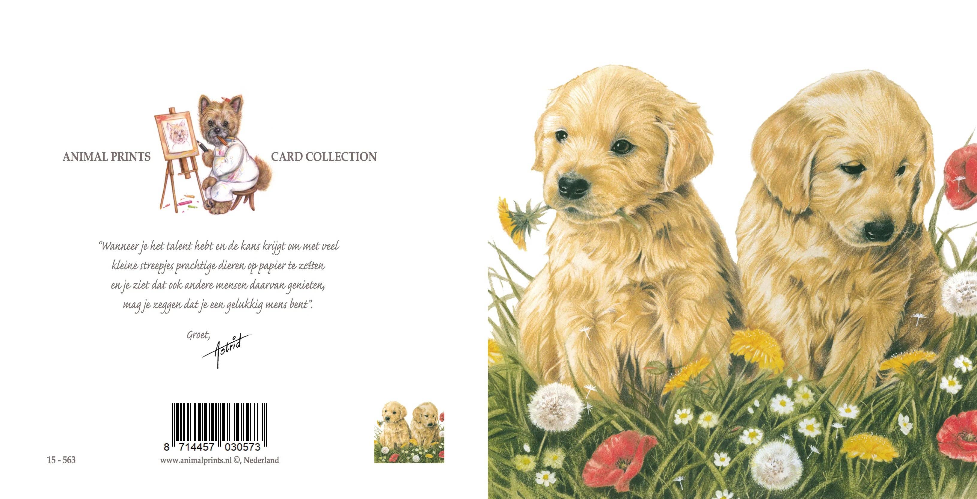 Square card - Nice to put the flowers outside together. Golden Retriever puppies in the grass