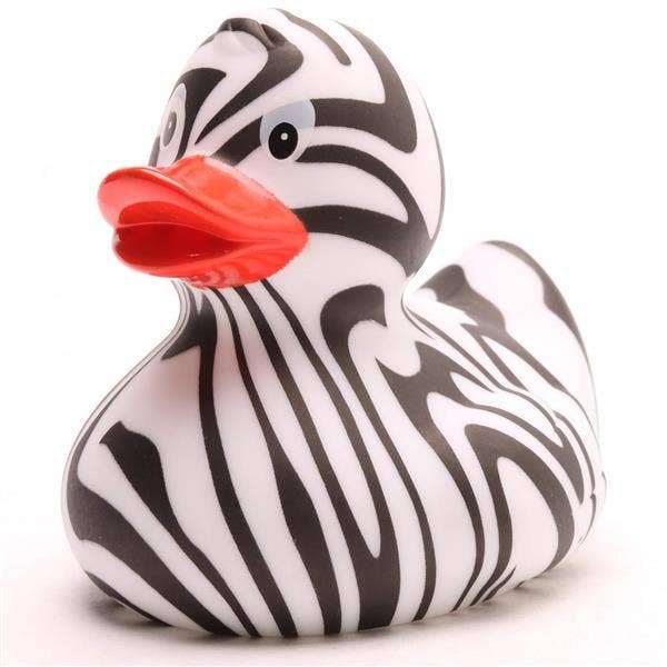 Zebra Duck