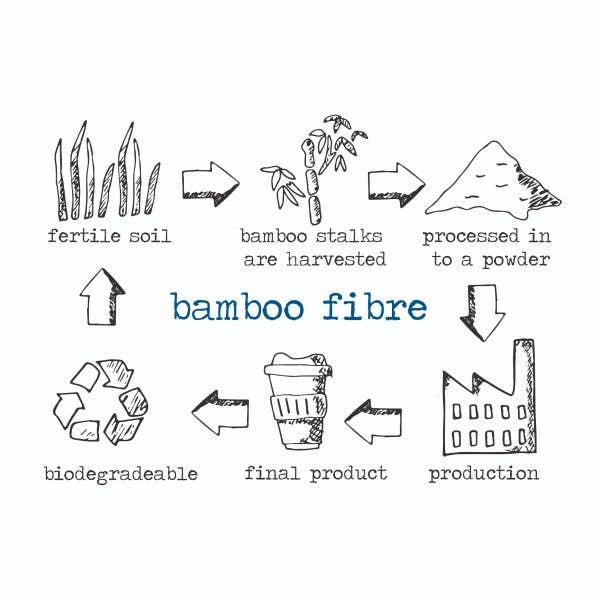 Rainforest Eco-Friendly Bamboo Lunch Box