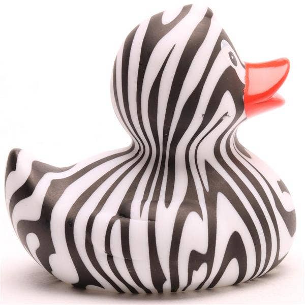 Zebra Duck