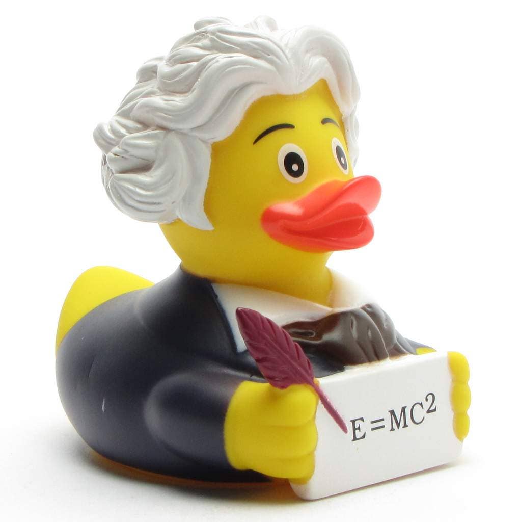 Einstein rubber duck - rubber duck