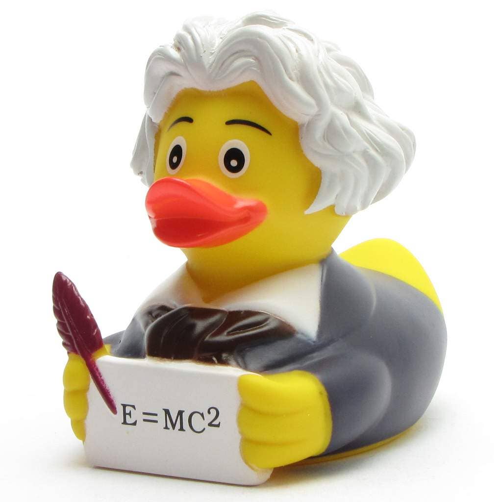 Einstein rubber duck - rubber duck