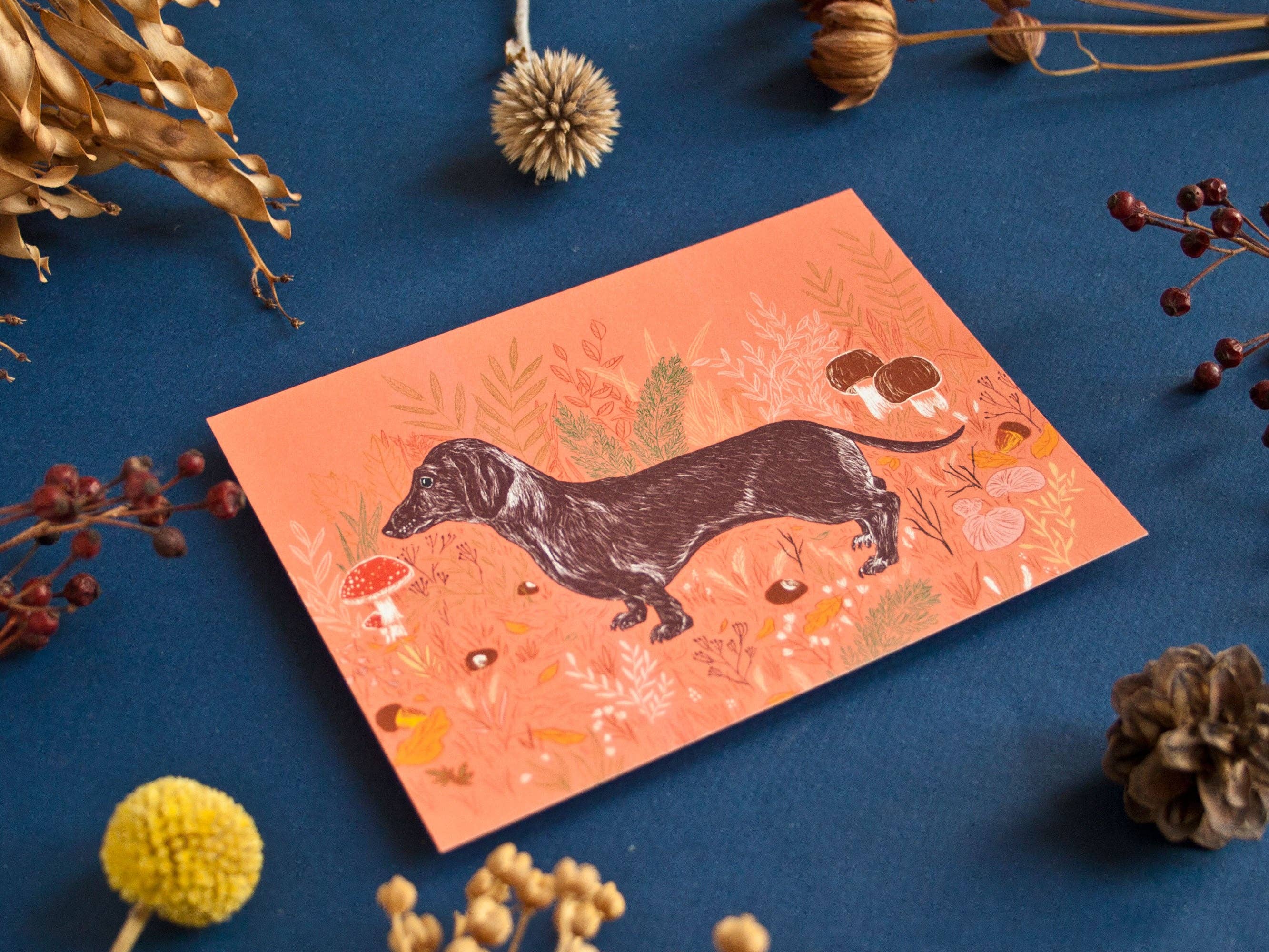 Postcard A6 Dachshund