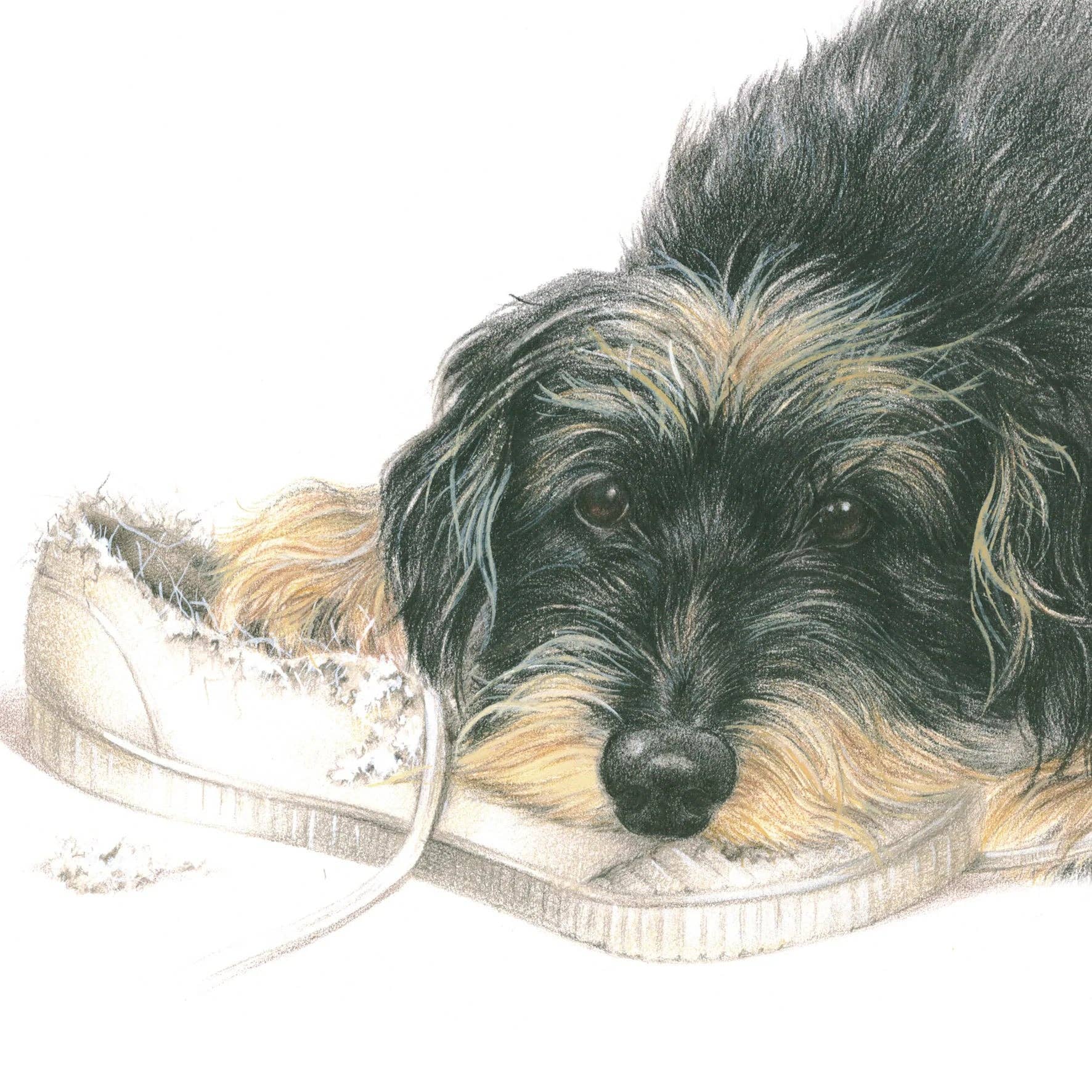 Square card - Not only Saint Nicholas loves shoes. A Dachshund loves it too!!