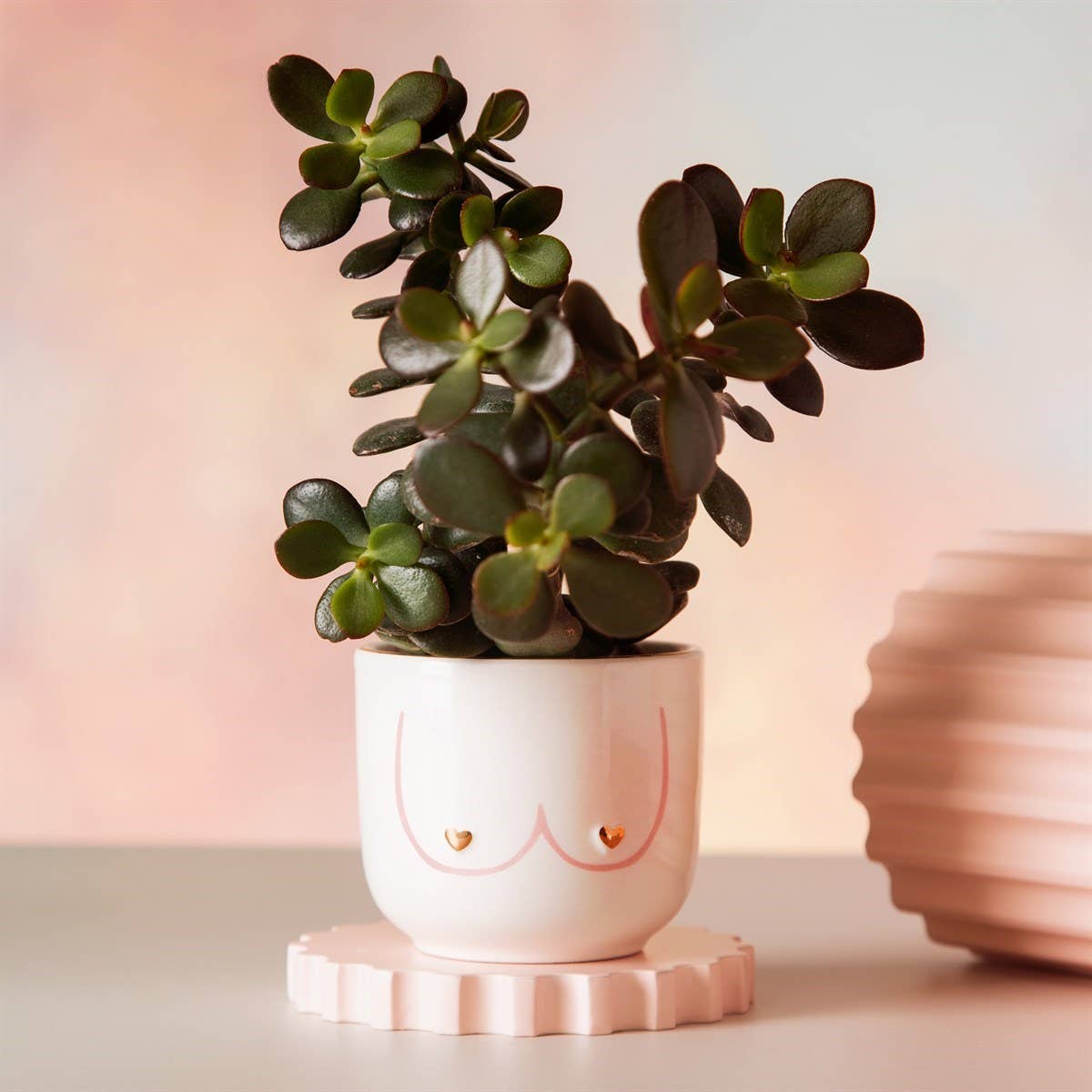 Mini Girl Power Boobies Planter