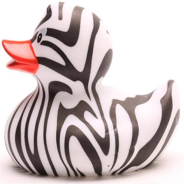 Zebra Duck