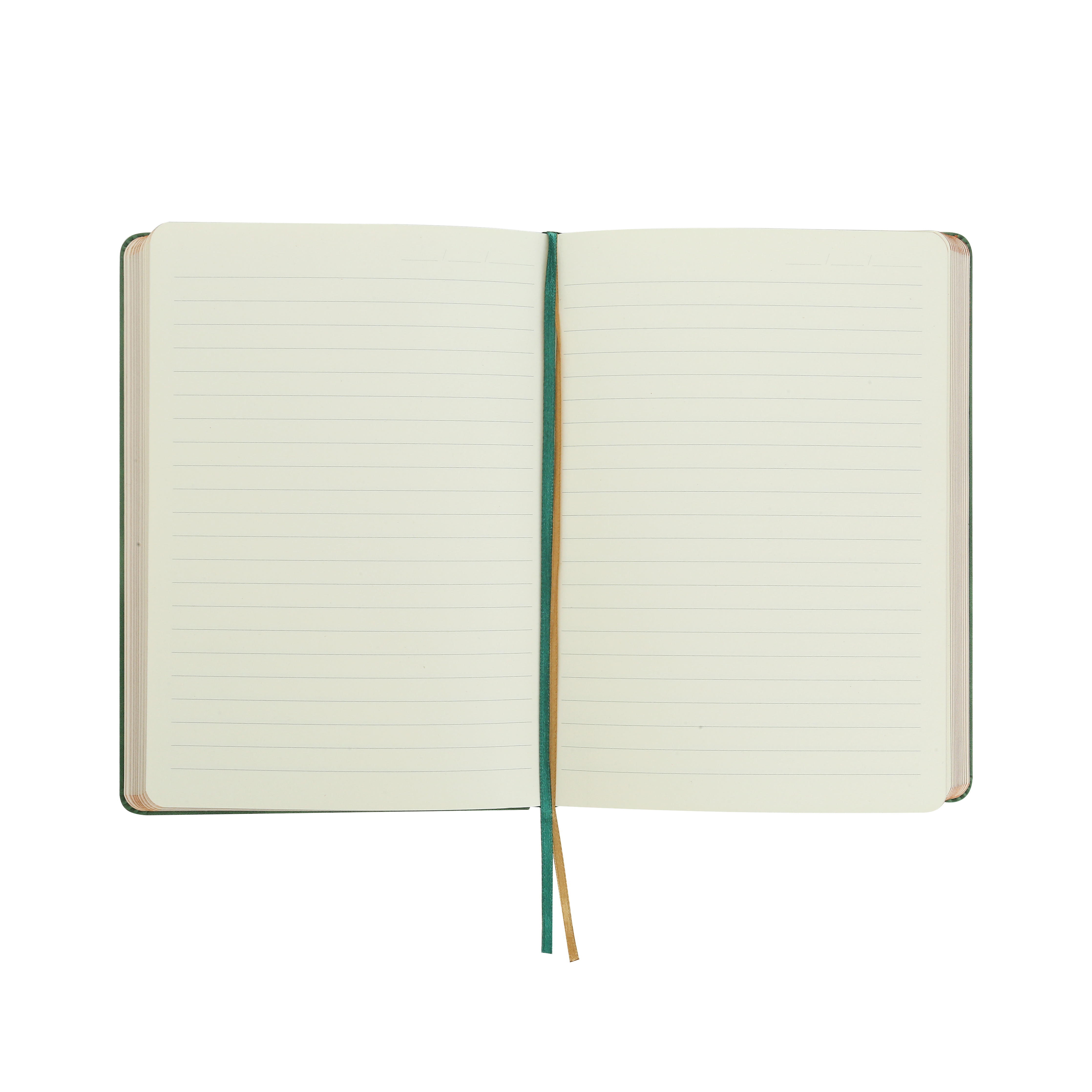 Victoria's Journals Antique Vintage Diary Hard Cover (Blue)