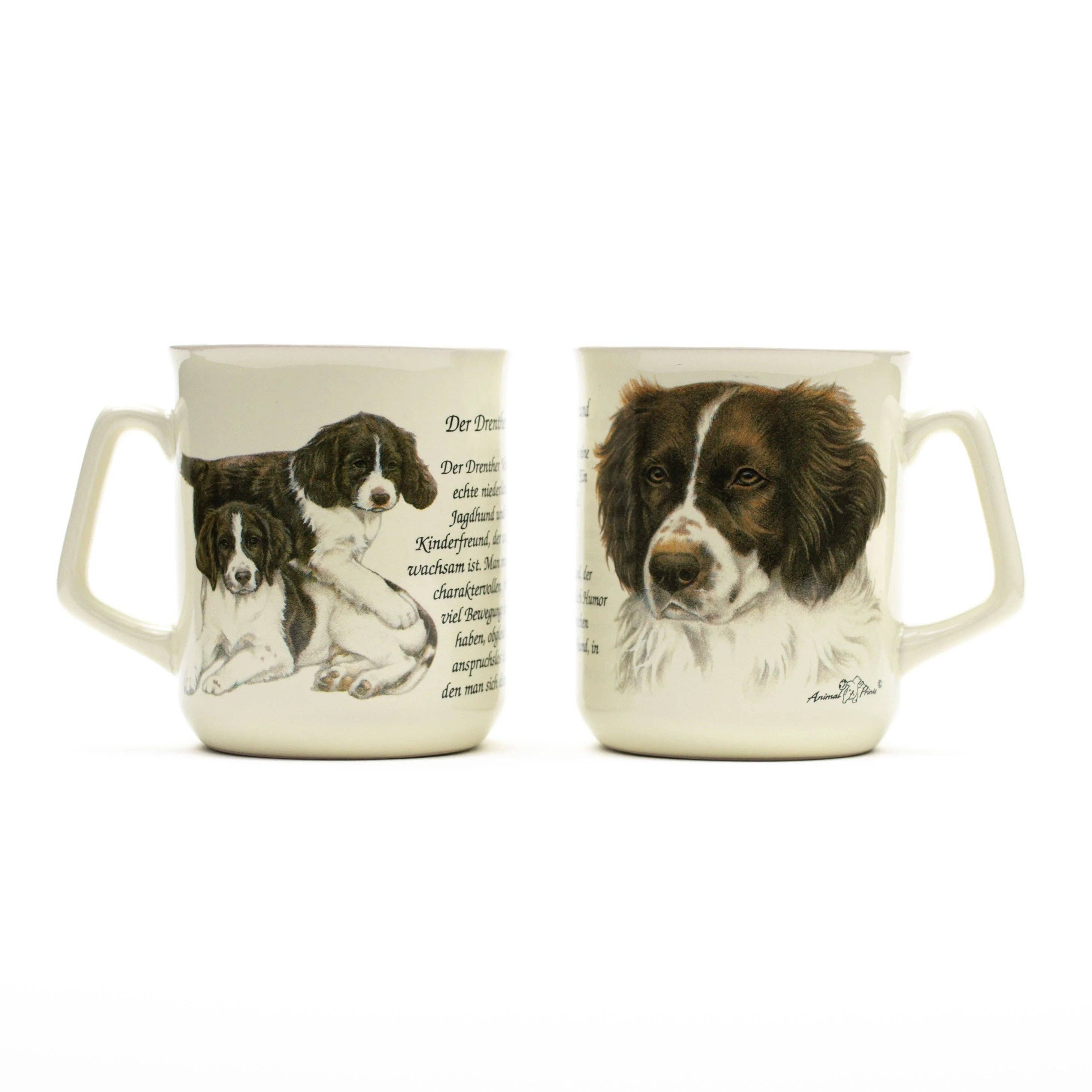 Drentsche Partridge Dog mug