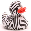 Zebra Duck