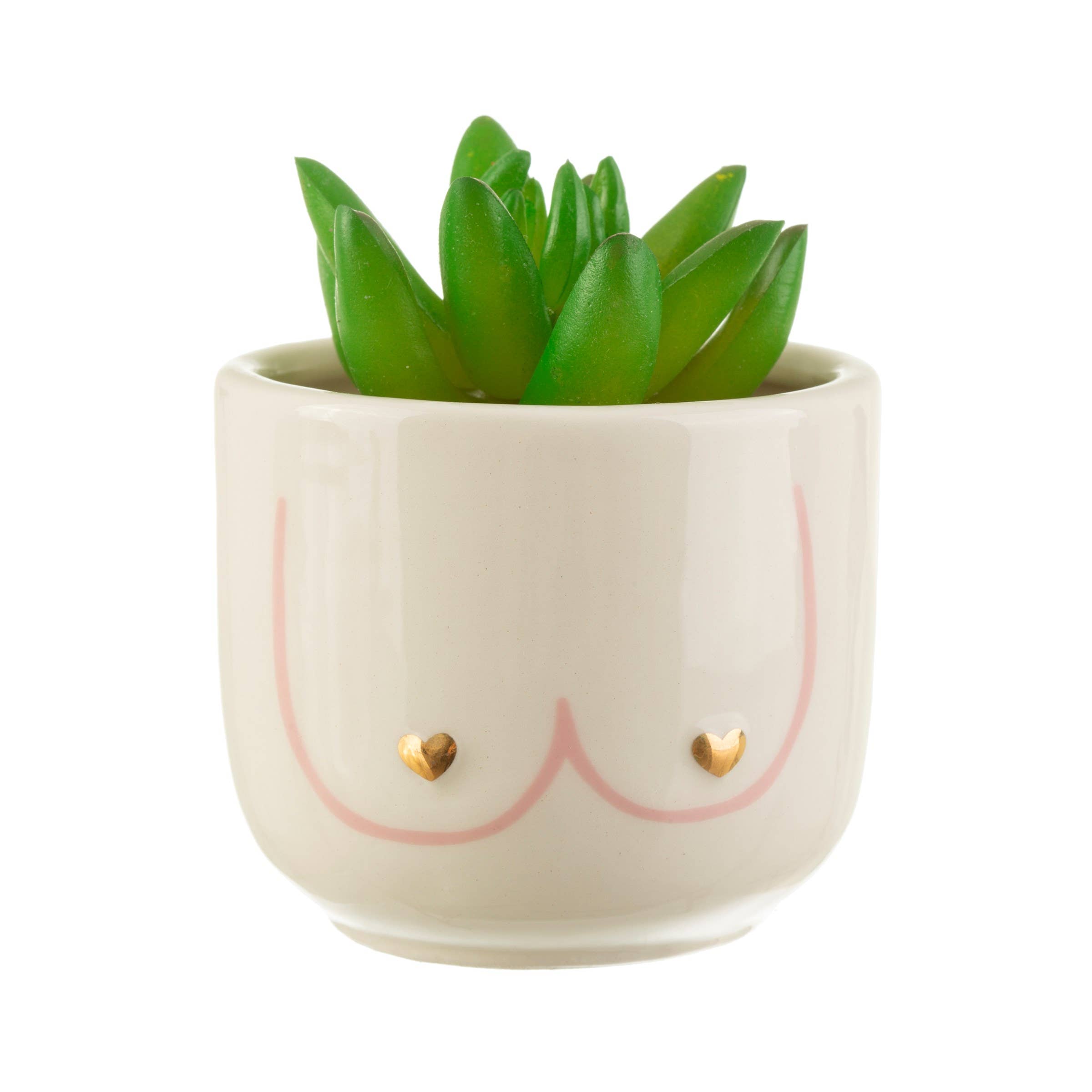 Mini Girl Power Boobies Planter